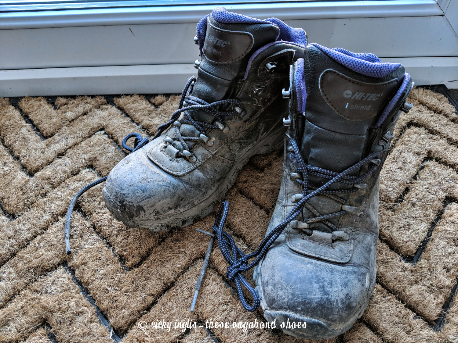 Maker:S,Date:2017-9-29,Ver:6,Lens:Kan03,Act:Lar02,E-Y