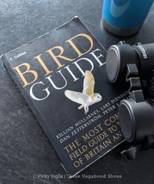 Maker:S,Date:2017-9-29,Ver:6,Lens:Kan03,Act:Lar02,E-ve