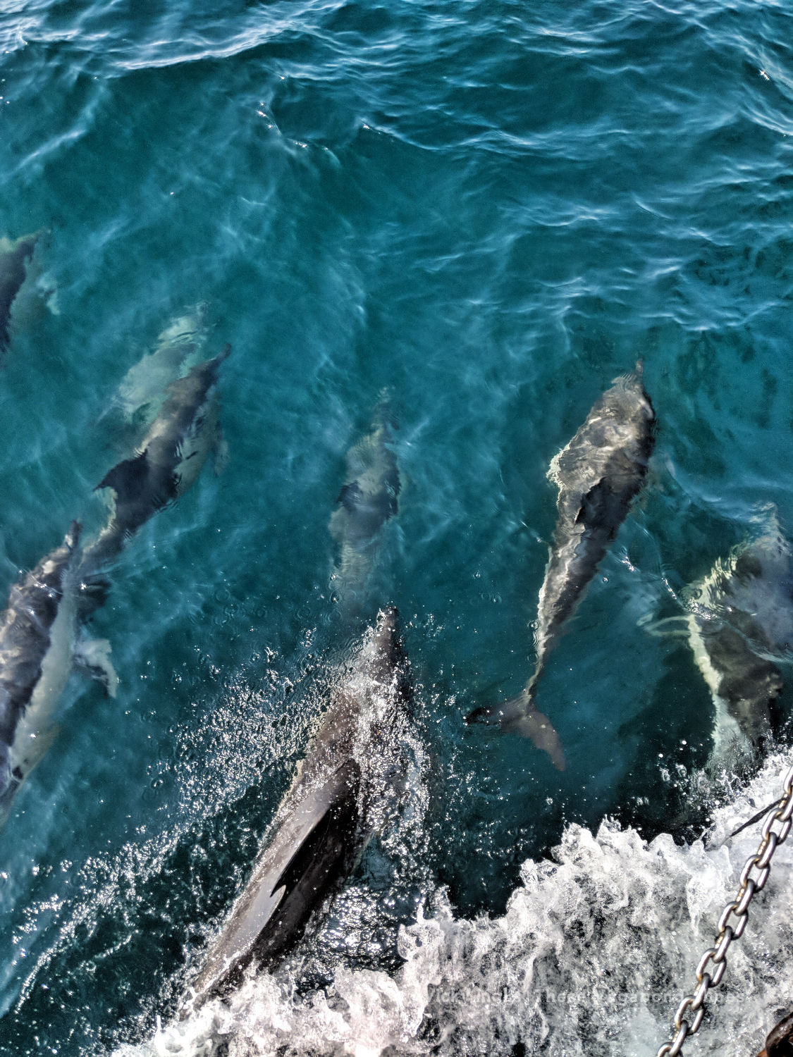 Maker:S,Date:2017-9-29,Ver:6,Lens:Kan03,Act:Lar02,E-Y