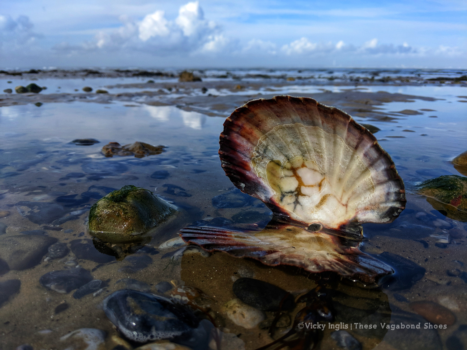 Maker:S,Date:2017-9-29,Ver:6,Lens:Kan03,Act:Lar02,E-Y