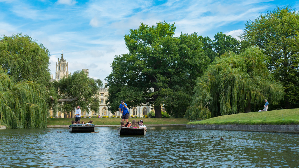 cambridge_punt