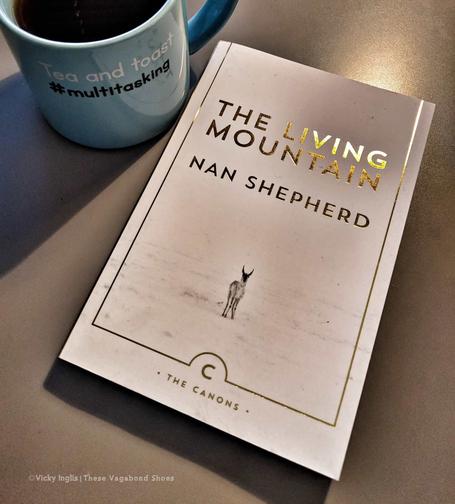 Maker:S,Date:2017-9-29,Ver:6,Lens:Kan03,Act:Lar02,E-ve