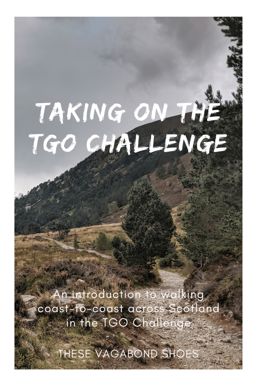 pin_scot_tgo_challenge_2