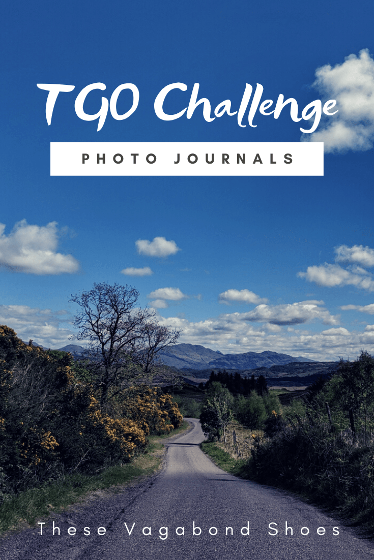 pin_tgo_challenge_2019_1
