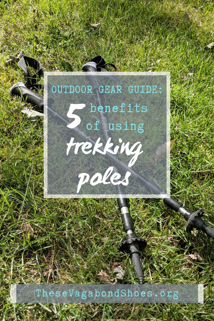 pin_why_trekking_poles_2