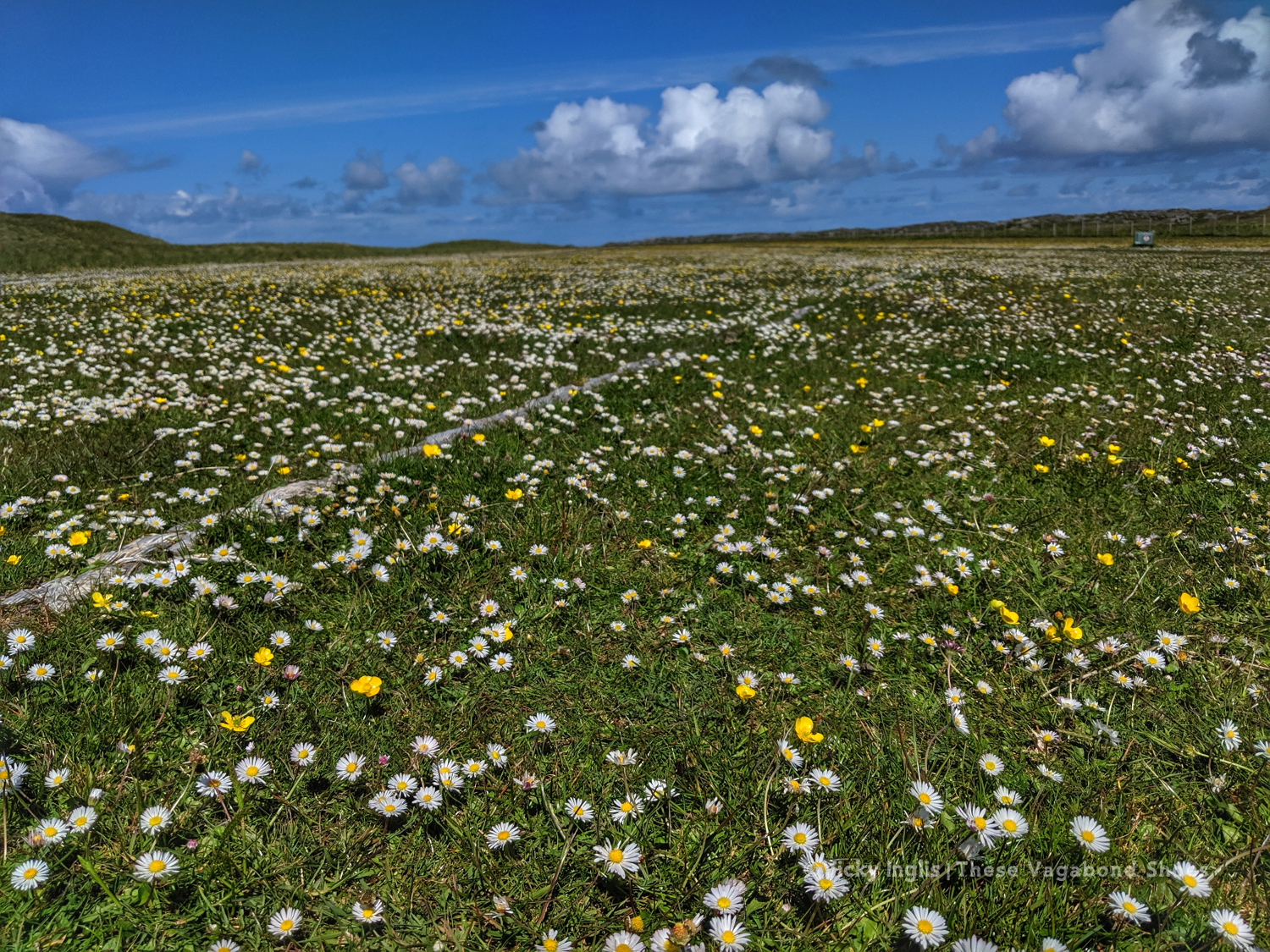 coll_machair_3_small