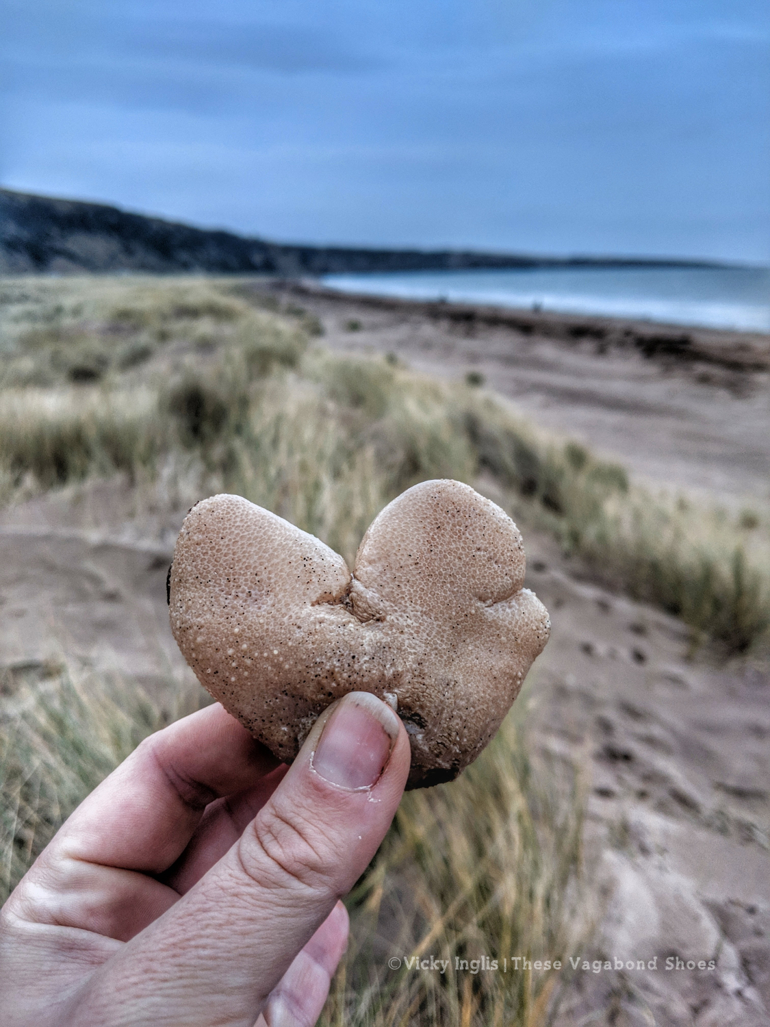 st_cyrus_sea_heart_small