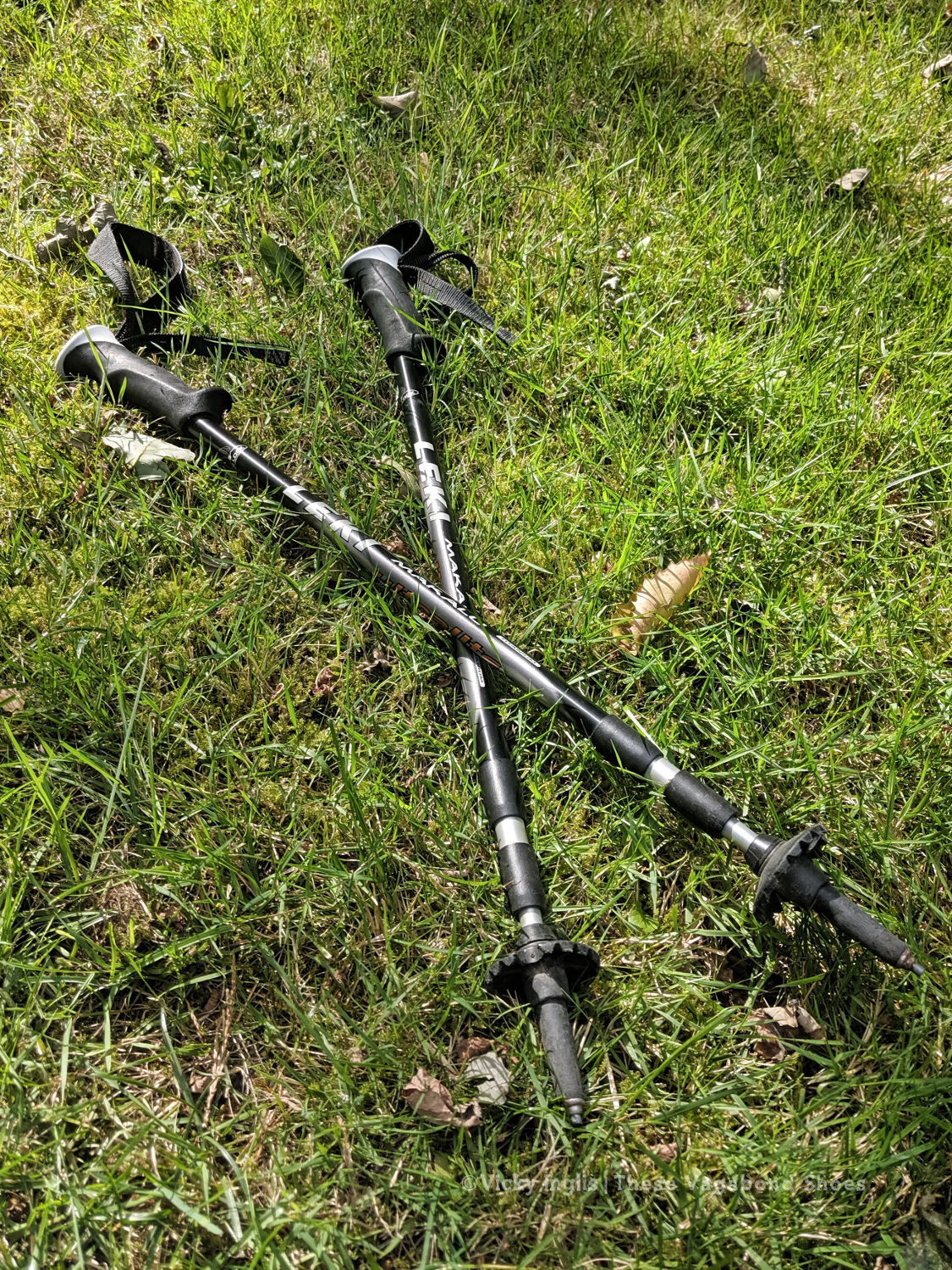 trekking_poles_1_small