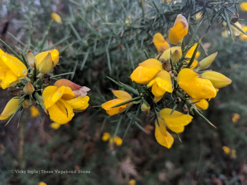 Maker:S,Date:2017-9-29,Ver:6,Lens:Kan03,Act:Lar02,E-ve