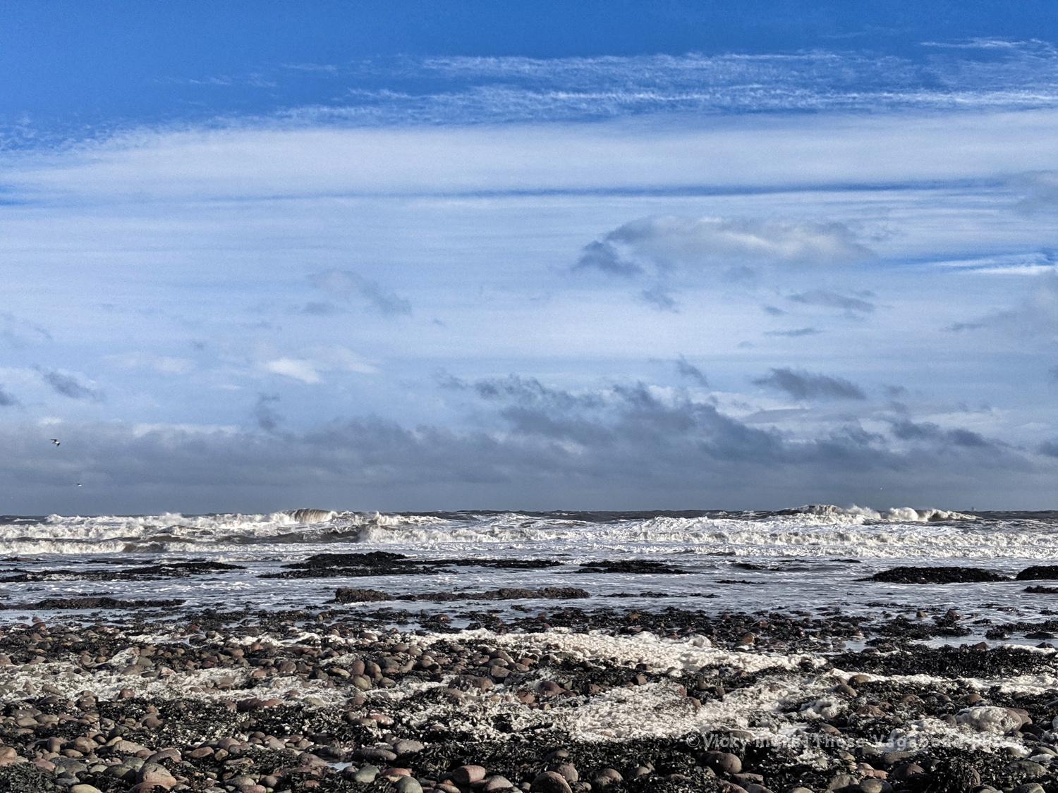 benholm_autumn19_2_sm