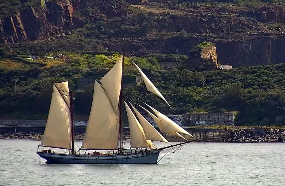 FB_IMG_1564874126320