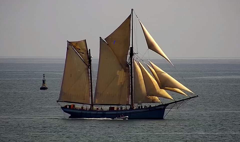 FB_IMG_1564874134672