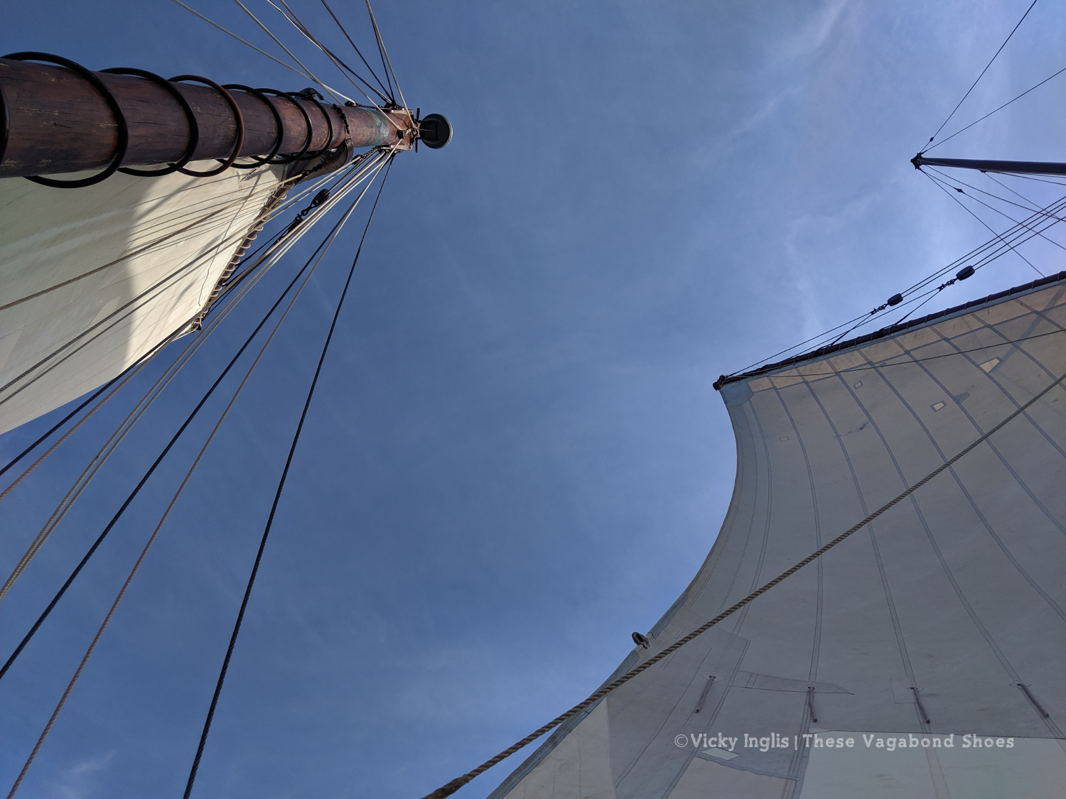 irene_charleston_2_sm