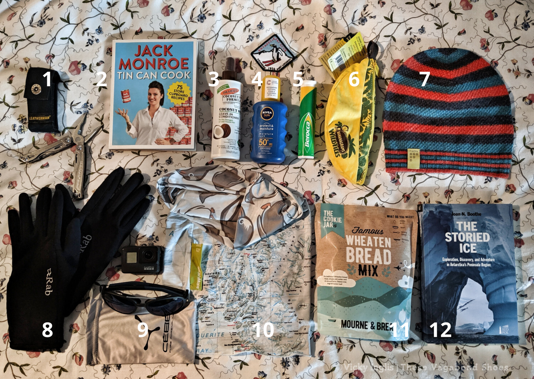 antarctica_flatlay_sm.1