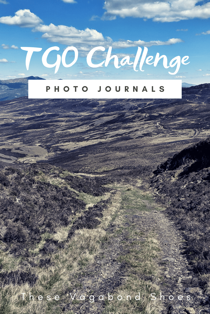 pin_tgo_challenge_2019_3