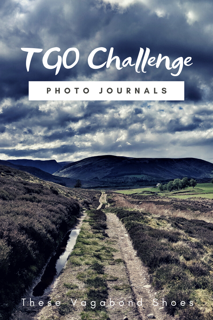 pin_tgo_challenge_2019_4