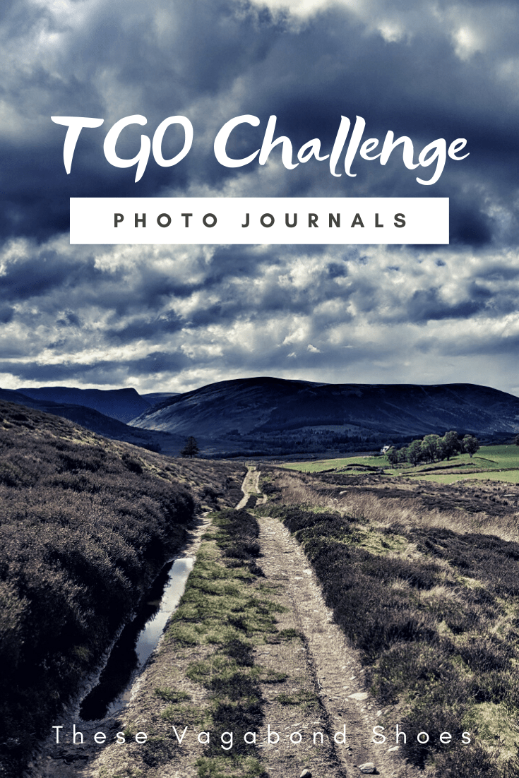 pin_tgo_challenge_2019_4