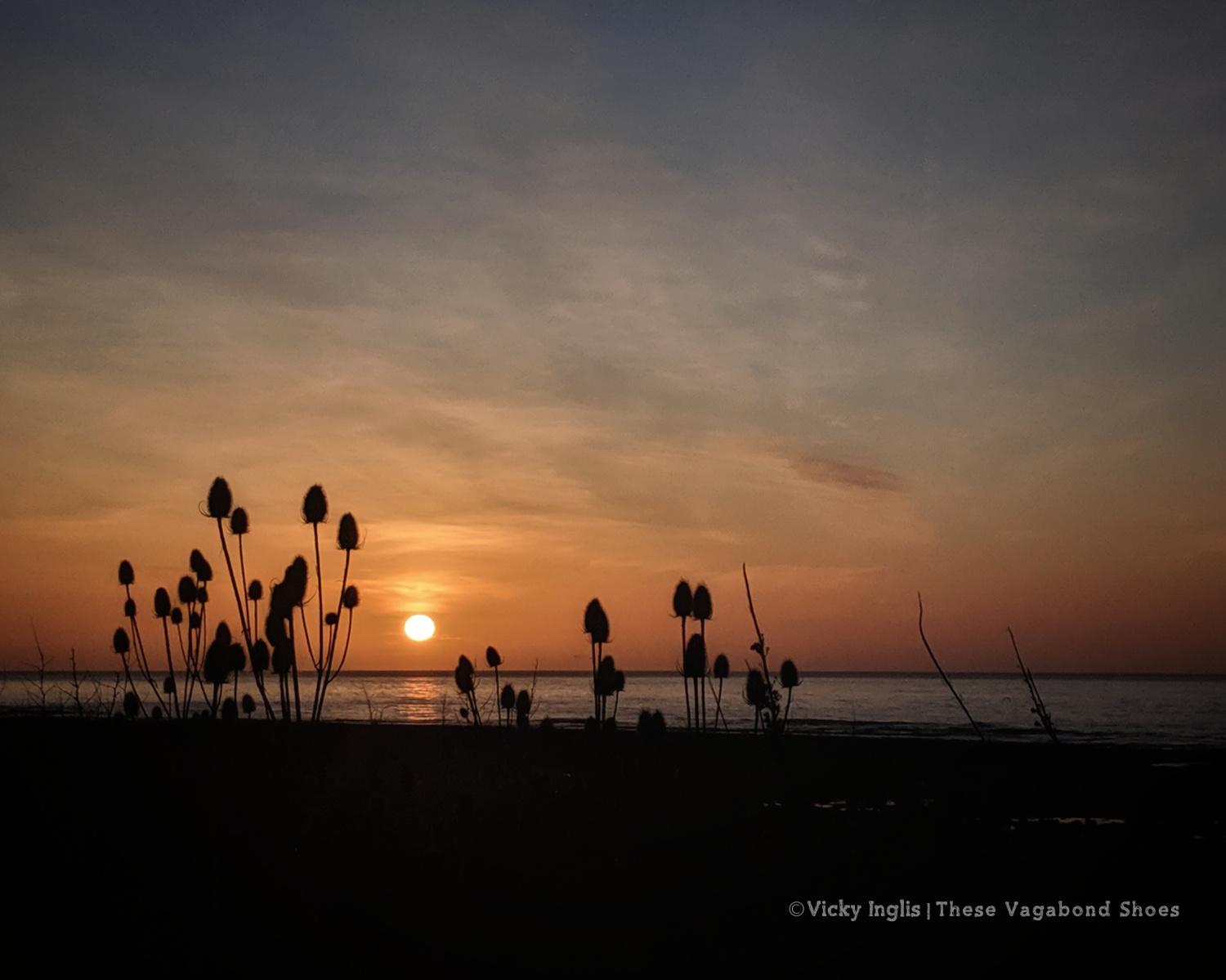 lockdown_sunrise_1.1