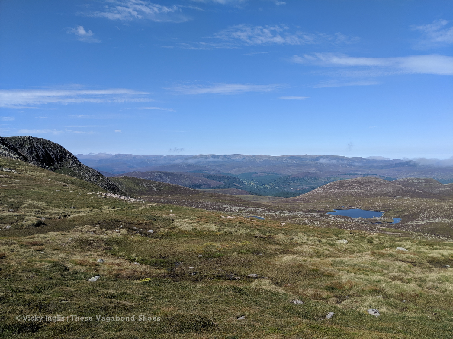 200816_white_mounth_circuit_11.1